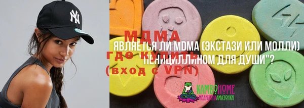 стафф Алексин