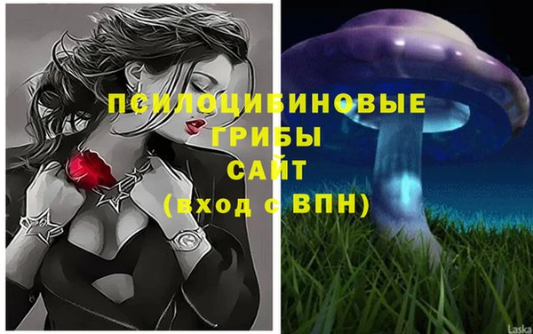 герыч Сатка