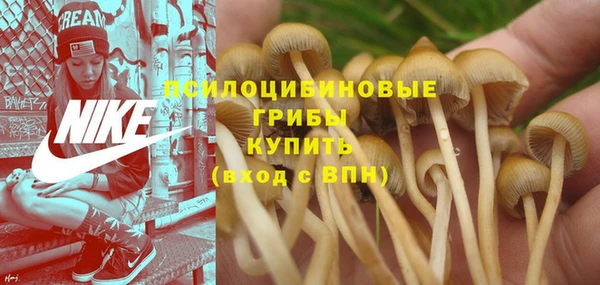 apvp Арсеньев