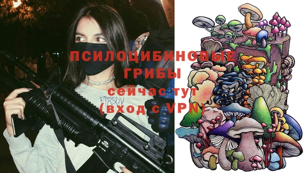 метадон Армянск
