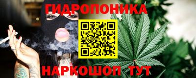 соль ск Канаш