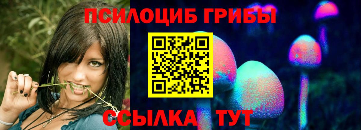 Псилоцибиновые грибы Magic Shrooms Куйбышев